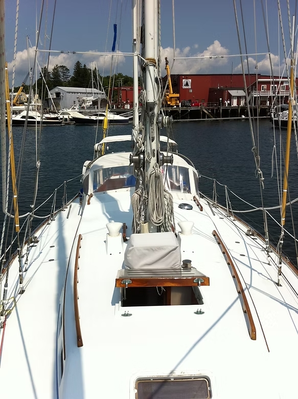 98b00f e7a3d84a8b1448cab7d9175eda95e01e mv2 d 1936 2592 s 2